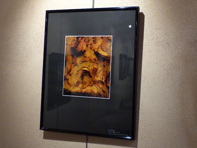 Exposition "Écorces" de Christian Guillot